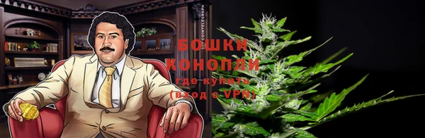 круглые Белокуриха